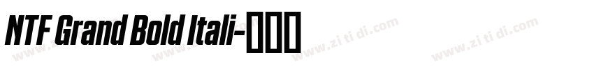 NTF Grand Bold Itali字体转换